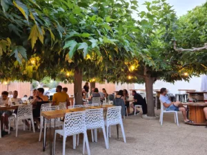 Fry-ôte à Le Barcarès