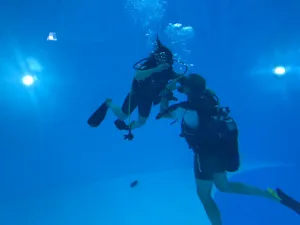 Go And Sea à Chêne-en-Semine