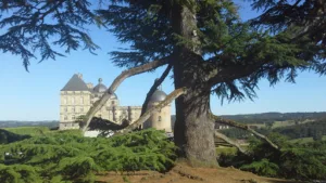 Place du Marché au Bois à Périgueux