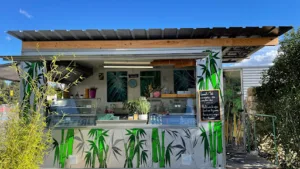 Bambou Nem à Sommières