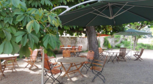 RESTAURANT LA BOULE D’OR à Feurs