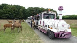 Safari Train à Autrèche