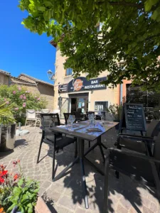 Vigne en Fleur à Chaintré