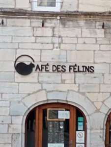 Café des Félins à Besançon