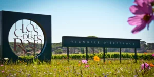 Clos des Roses vineyard à Fréjus