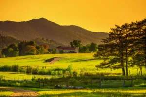 Réserve biologique des monts d’azur à Andon