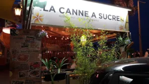 La Canne à sucre à Canet-en-Roussillon