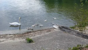 Rest’eau à Beauvais