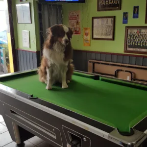 Le Café de la Gare à Villefranche-sur-Saone