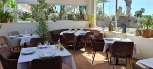 Vivo à Cagnes-sur-Mer