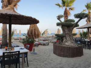 Al Trayou à Saint-Cyprien