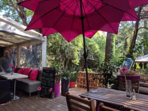 COGOSNACK à Cogolin