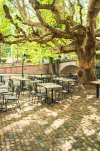Au Petit Bois Vert à Strasbourg