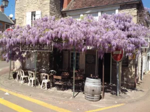 Cave St Louis à Corbigny