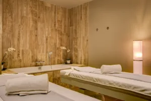 Royal Ours Blanc Hôtel & Spa à Huez