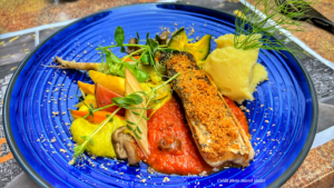 Racines à Le Beausset