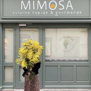 Mimosa à Arles