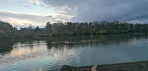 Association Quartiers Proximité à Blois