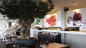 Les Moulins Bleus à Laxou