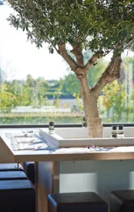 Salad&Co à Neuville-en-Ferrain