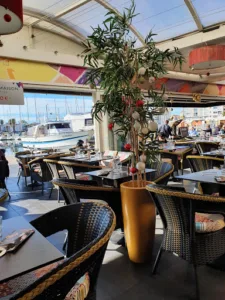 L’Arlequin à Le Cap dAgde