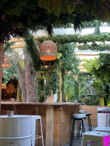 Le Chat Laid à Narbonne