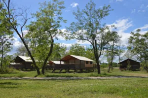 Camping Le Mas des Chenes à Anduze