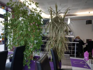 Le Gourmet à Décines-Charpieu