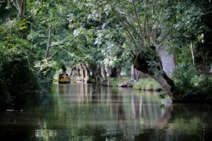Venise Verte Evasion à Sansais