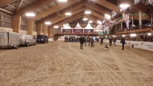 Pole Européen du Cheval à Yvré-l'Évêque