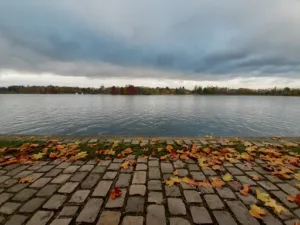 CCN de Créteil et du Val-de-Marne / Cie Käfig à Créteil