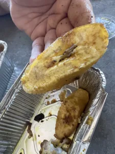 Afrik Chica à Dunkirk