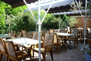 L’ail des ours à Genas