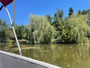 The Green Venice Passage à Maillé