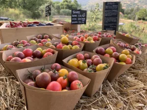 vivres orgasmic farm à Seillans