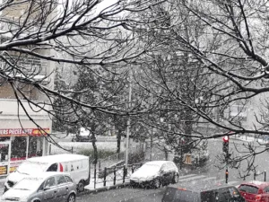 Oscar à Saint-Denis