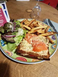 le merle moqueur à Châtellerault