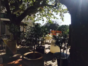 La Bastide Verte à La Garde