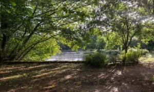 Les berges du petit lac à Val d'Oingt