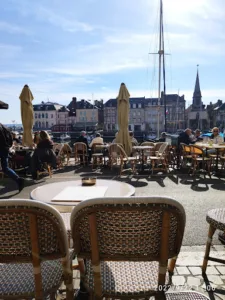 Le Perroquet Vert à Honfleur