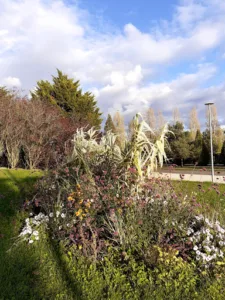 Don Camillo Pizza à Chartres