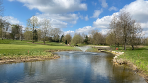 Haras de Jardy à Vaucresson