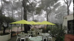 Restaurant Bar le Drap d’or à Toulon