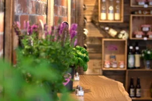 Maison Mathis à Sarrebourg