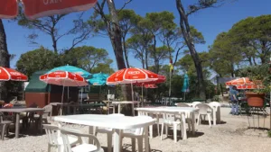 La Guinguette au chat perdu à Toulon