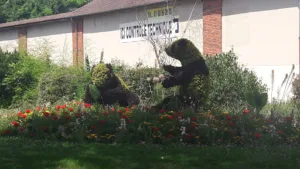 SARL STE D EXPLOITATION LE NAPOLI à Corbeil-Essonnes