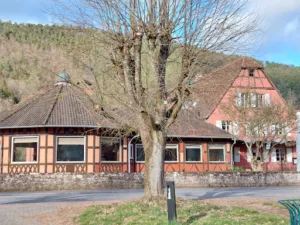 Hôtel Restaurant Anthon à Obersteinbach