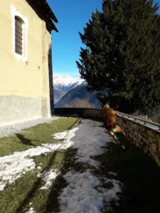 Hôtel Restaurant des Ors à Romans-sur-Isère