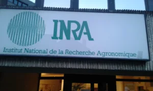 Score Service à Ivry-sur-Seine