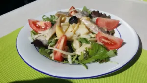 Le Perroquet Hassouna à Perpignan